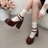 Mary Jane Pumps for Women Girls Fashion Wine Red New Chunky Heel Wedding Dress Shoes Spring New Pumps Classic Double Buckle Shoe