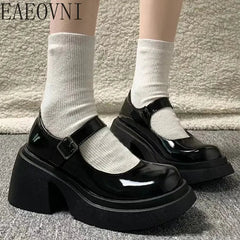 Platform Mary Jane Shoes New Women's Shoes Women Thick Heels Trendy Street Lolita Shoes Round Toe Ankle Strap Pumps