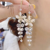 Exquisite Opal Flower Earrings For Women Rhinestone Long Tassel Zircon Earring Girls Wedding Party