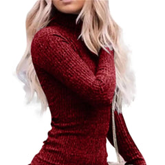 Sexy Women Sheath Dress Mini Bodycon Solid Color High Collar Sexy Slim Pullover Sweater Dress Winter