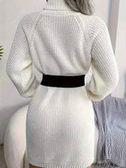 Turtleneck Solid Sweater Dress, Casual Long Sleeve Bodycon Dress, Women's Clothing