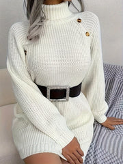 Turtleneck Solid Sweater Dress, Casual Long Sleeve Bodycon Dress, Women's Clothing