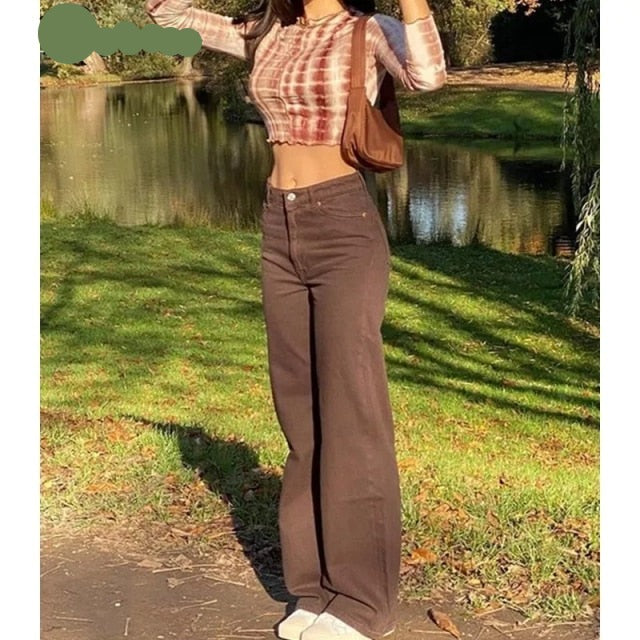 Rockmore Brown Vintage Baggy Jeans Women 90s Streetwear Pockets Wide Leg Cargo Pants Low Waist Straight Denim Trousers