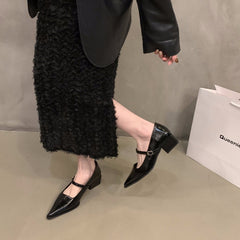 Pointed Elegant Red Mary Jane Single-layer Shoes Women's Shoes New Spring Autumn and Winter Mid-high Heel French Evening Shoes