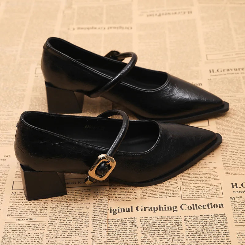 Ingvn  Designer Vintage Pointed Toe Women Mary Jane Shoes Fashion Shallow Buckle Shoes Spring Ladies Elegant Dress Thick Heel Shoes