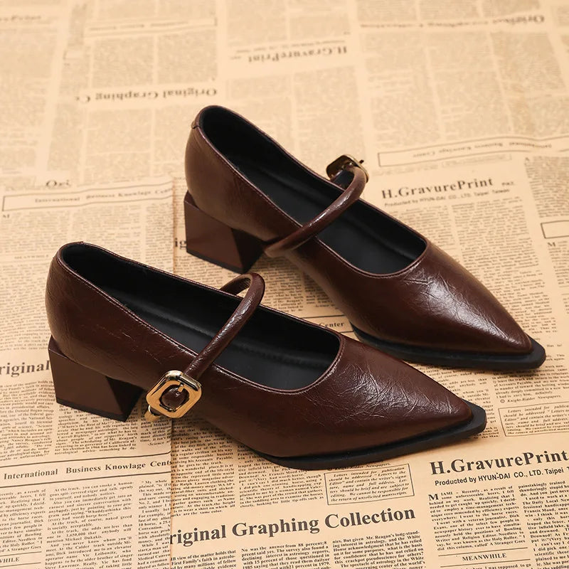 Ingvn  Designer Vintage Pointed Toe Women Mary Jane Shoes Fashion Shallow Buckle Shoes Spring Ladies Elegant Dress Thick Heel Shoes