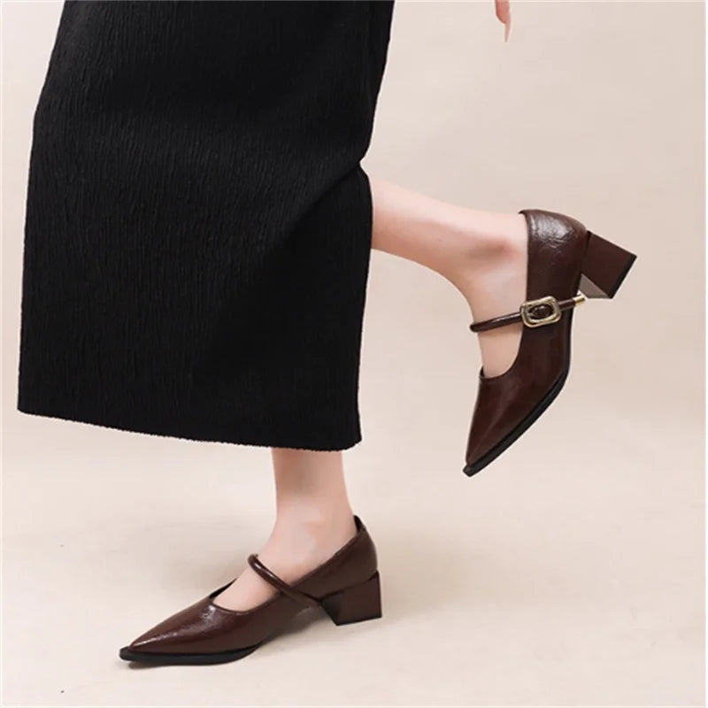 Ingvn  Designer Vintage Pointed Toe Women Mary Jane Shoes Fashion Shallow Buckle Shoes Spring Ladies Elegant Dress Thick Heel Shoes