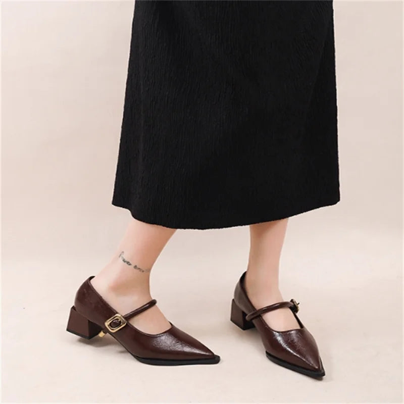 Ingvn  Designer Vintage Pointed Toe Women Mary Jane Shoes Fashion Shallow Buckle Shoes Spring Ladies Elegant Dress Thick Heel Shoes