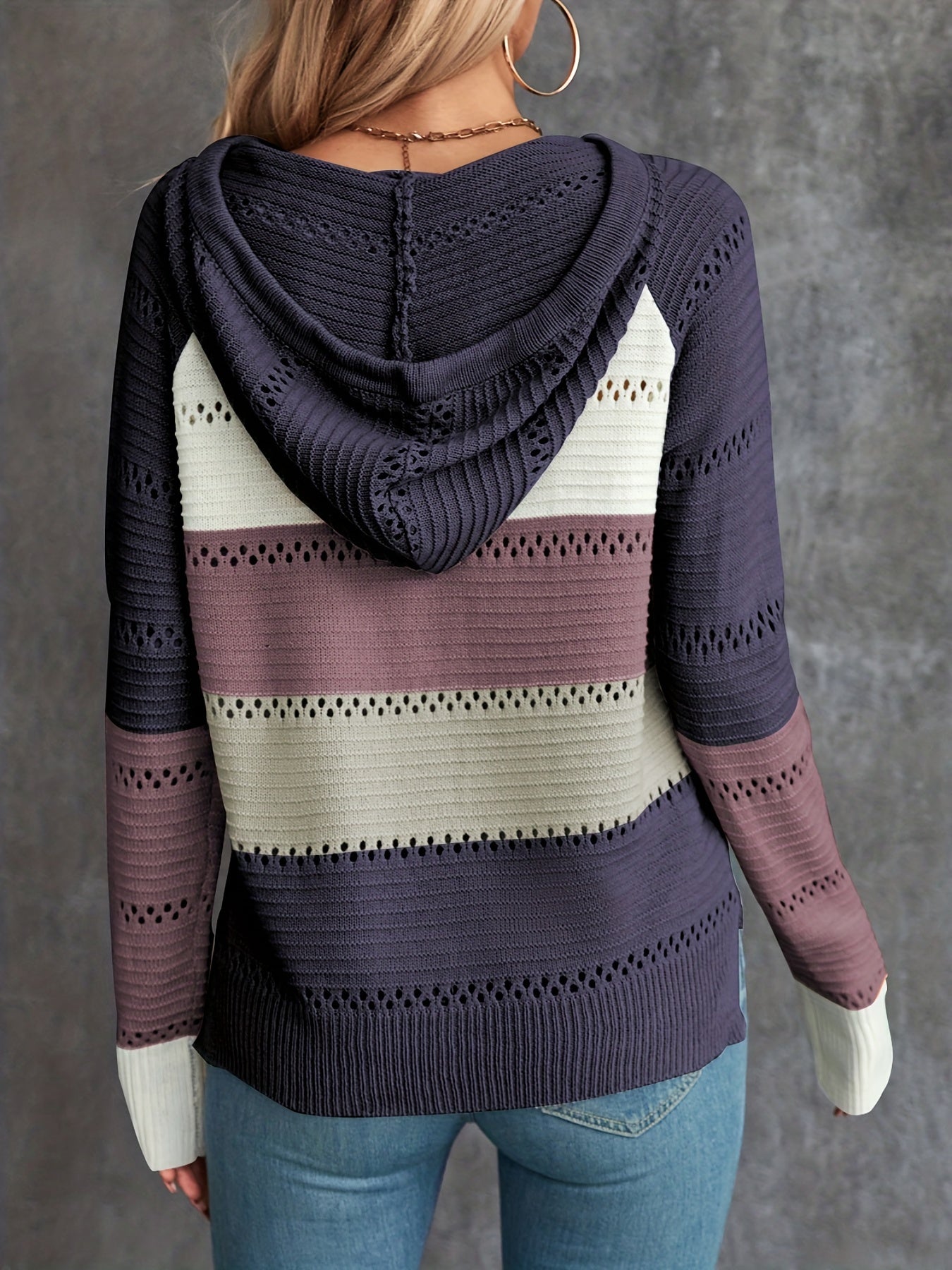 Color Block Drawstring Hooded Sweater, Casual Long Sleeve Sweater For Fall & Winter, Women's Clothing